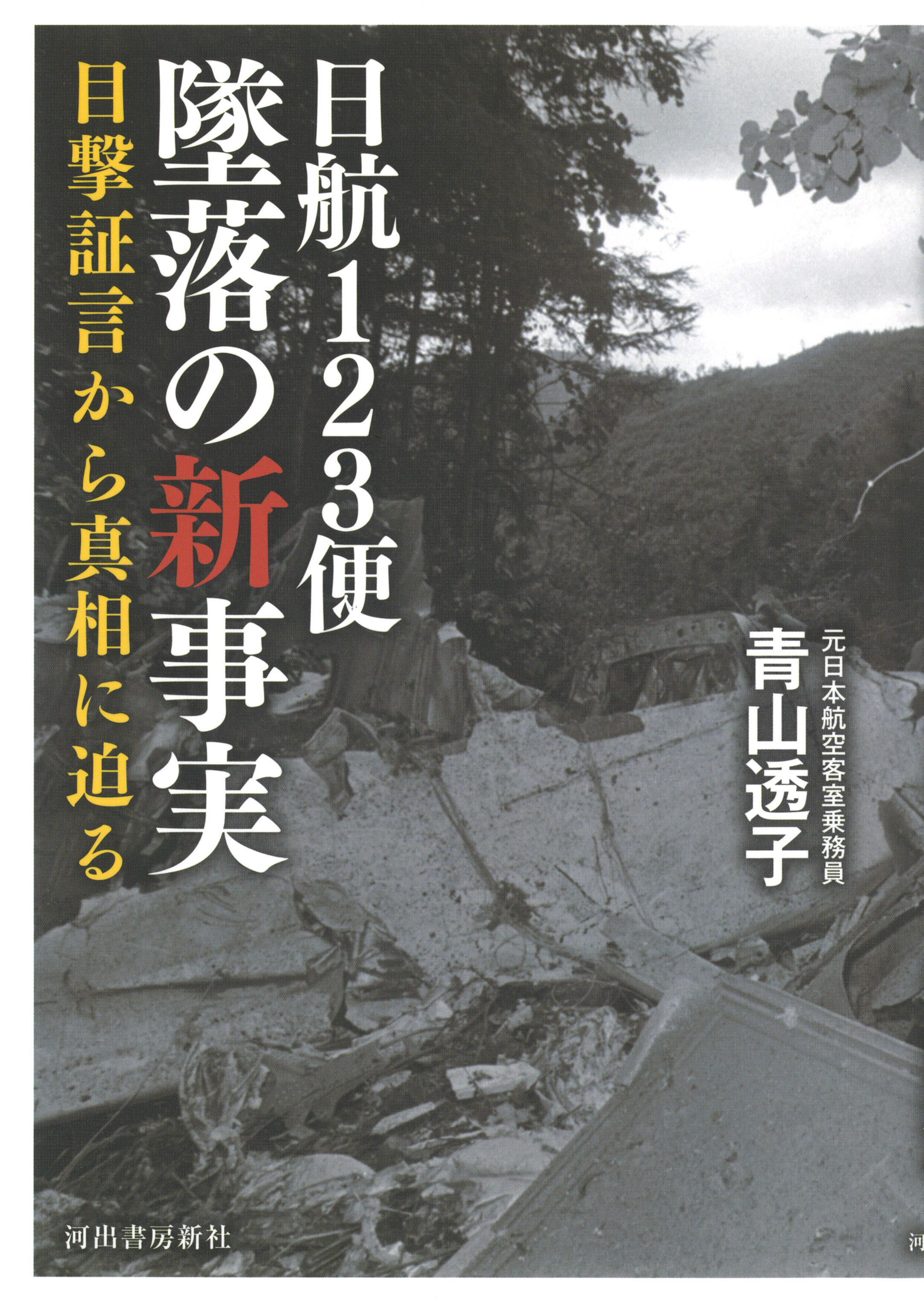 日本 航空 123 便 墜落 事故