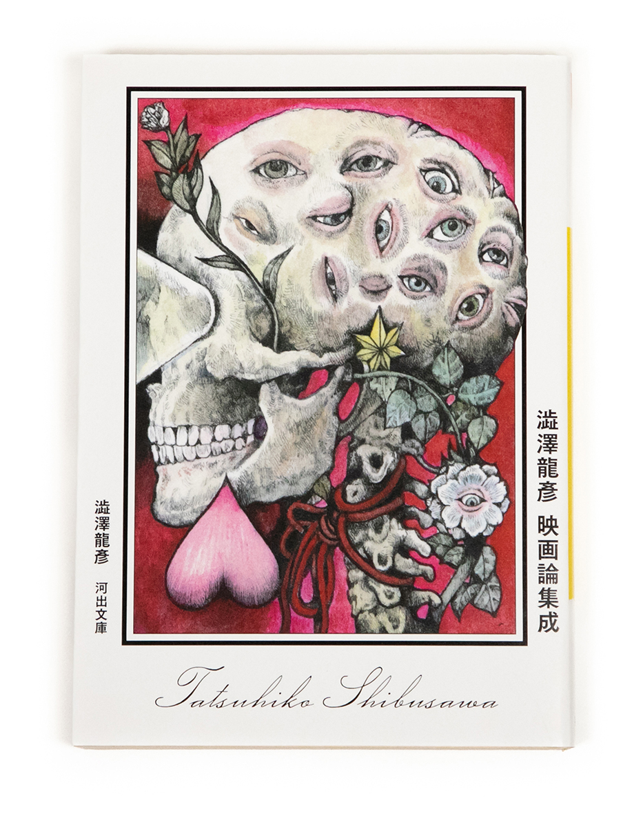 ★ 【渾天儀 (天球儀)】 アーミラリースフィア 驚異の部屋 澁澤龍彦 ☆ 【渾天儀 (天球儀)】 アーミラリースフィア 驚異の部屋 澁澤龍彦